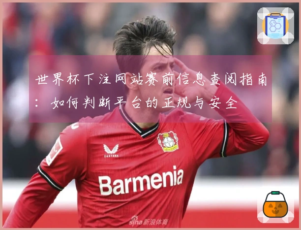 世界杯下注网站赛前信息查阅指南：如何判断平台的正规与安全