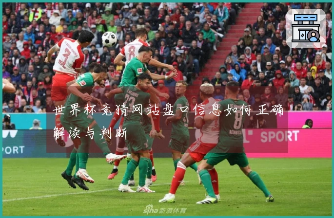 世界杯竞猜网站盘口信息如何正确解读与判断