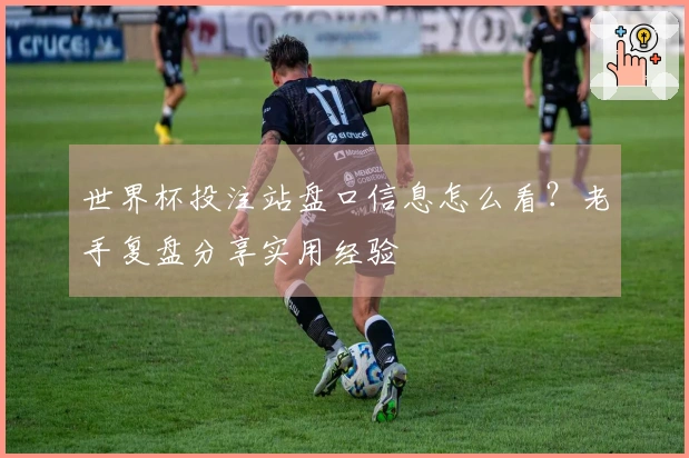 世界杯投注站盘口信息怎么看？老手复盘分享实用经验